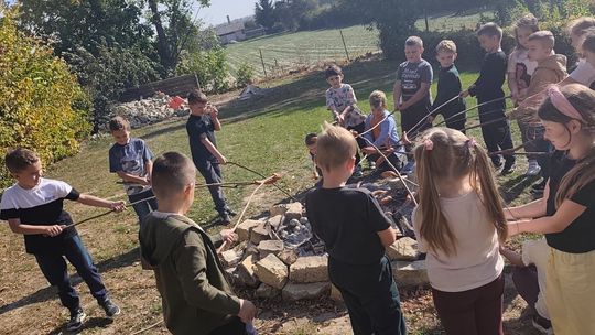 Dzień Ziemniaka klas 1-3