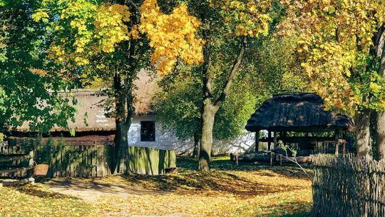 „Ginące zawody i tradycyjne rzemiosła” – Wizyta w Muzeum Wsi Lubelskiej