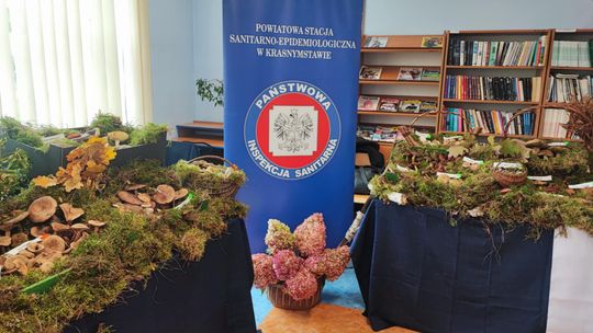 Wystawa grzybów