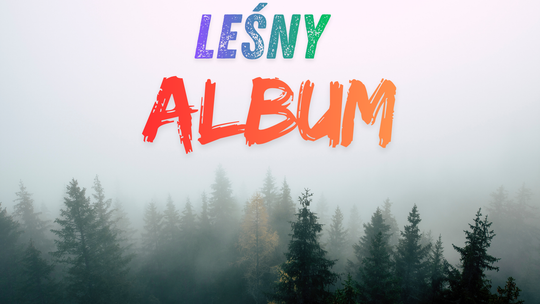 Zapraszamy do udziału w konkursie "Leśny album"