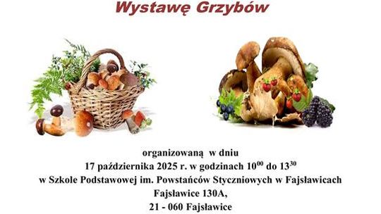 ZAPRASZAMY NA WYSTAWĘ GRZYBÓW