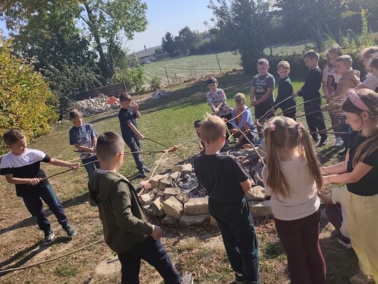 Dzień Ziemniaka klas 1-3
