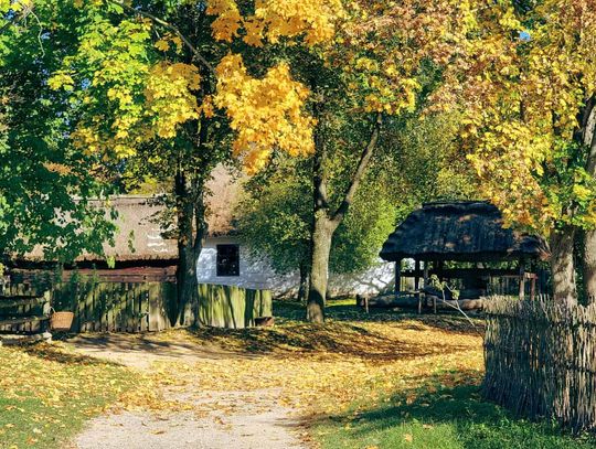 „Ginące zawody i tradycyjne rzemiosła” – Wizyta w Muzeum Wsi Lubelskiej