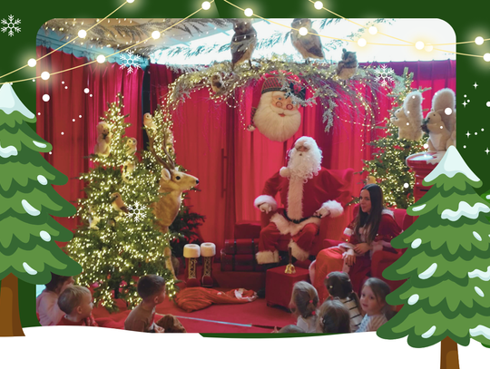 Magiczna podróż 3 i 4-latków do Pracowni Mikołaja!