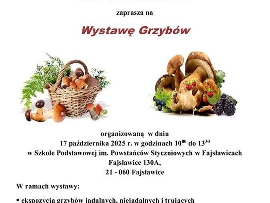 ZAPRASZAMY NA WYSTAWĘ GRZYBÓW
