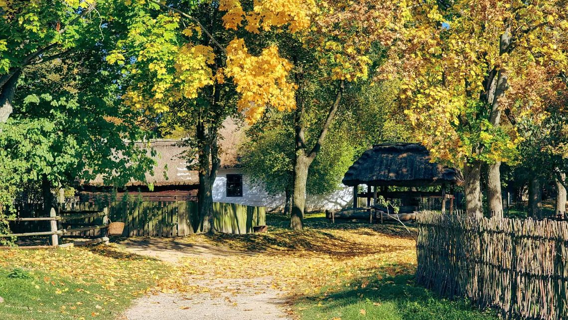 „Ginące zawody i tradycyjne rzemiosła” – Wizyta w Muzeum Wsi Lubelskiej