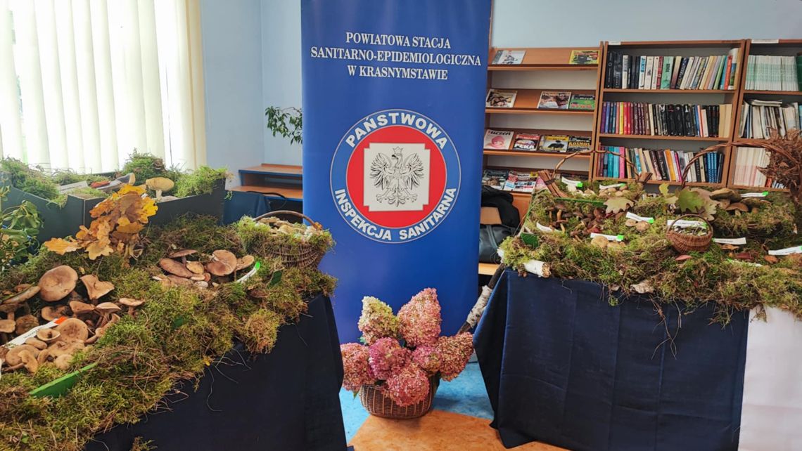 Wystawa grzybów Wystawa grzybów