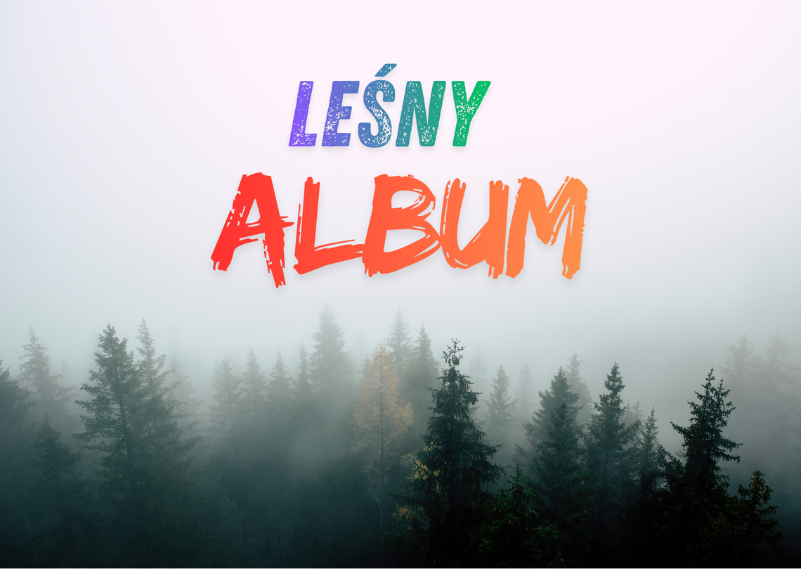 Zapraszamy do udziału w konkursie "Leśny album"