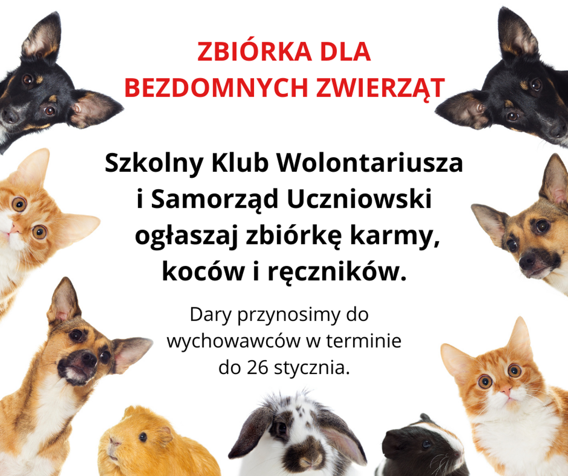 Zbiórka dla bezdomniaków