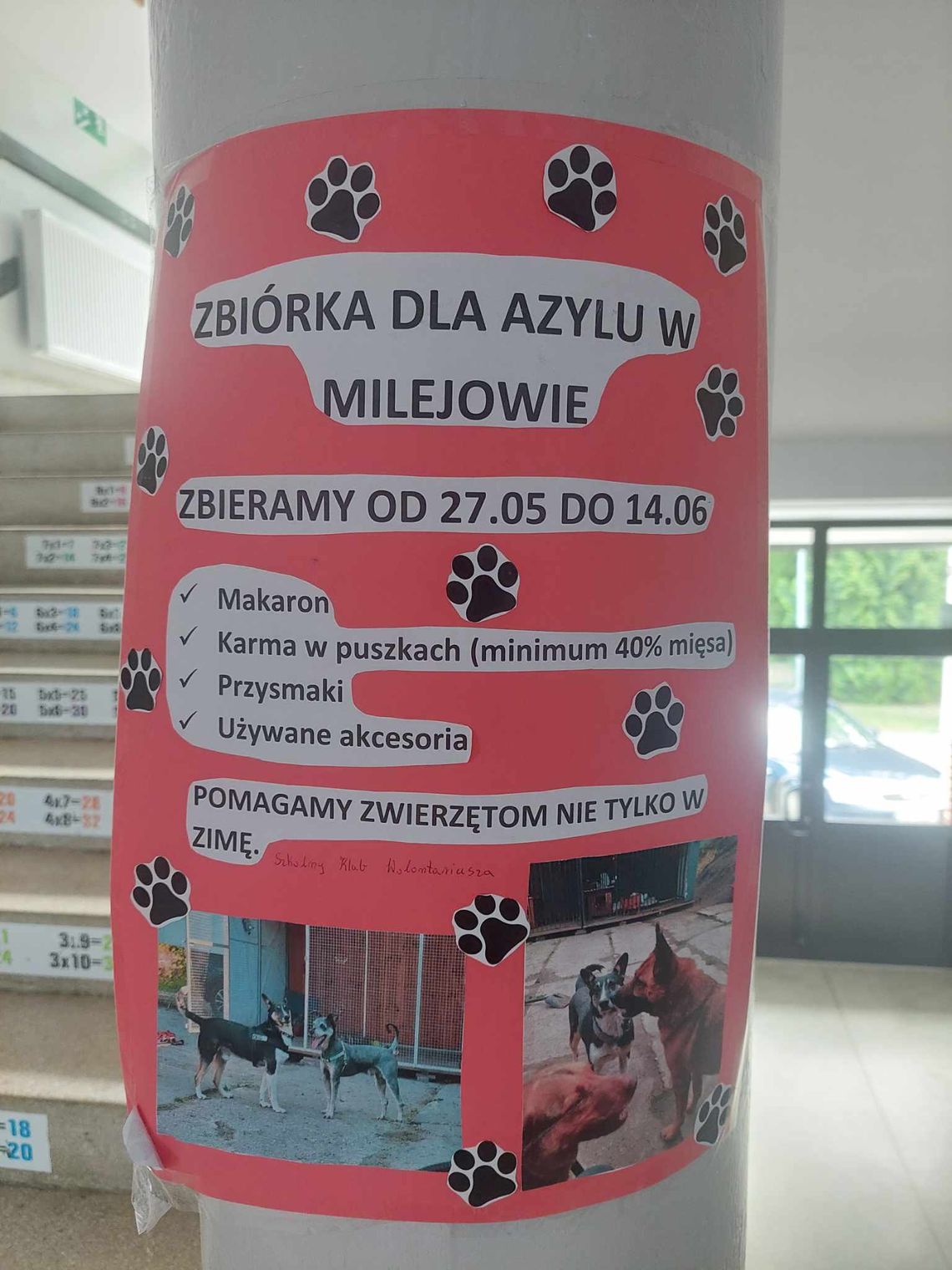 Zbiórka dla psiego azylu