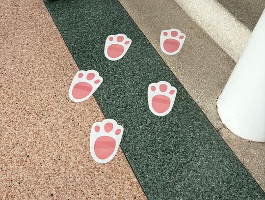 Tytuł Egg Hunting w naszej szkole