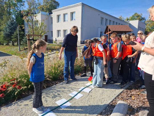 Dzień Ziemniaka klas 1-3