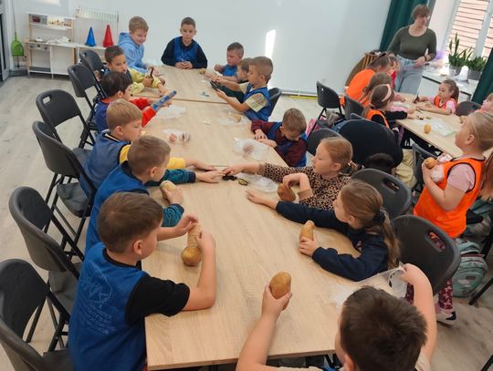 Dzień Ziemniaka klas 1-3