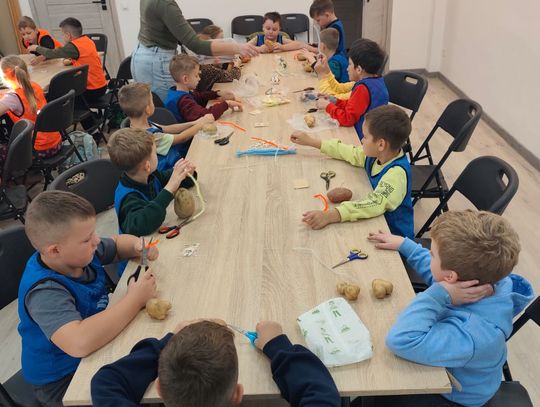 Dzień Ziemniaka klas 1-3