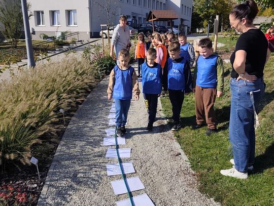Dzień Ziemniaka klas 1-3