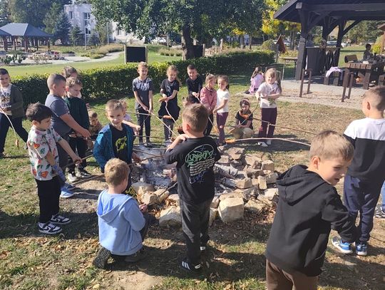Dzień Ziemniaka klas 1-3